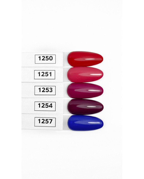 COLOR ARCHITECT