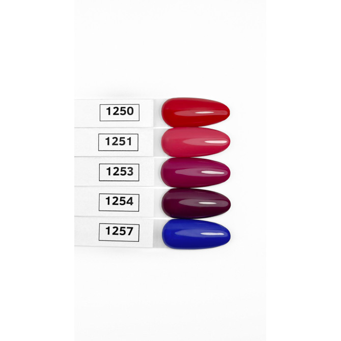 COLOR ARCHITECT